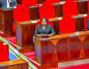 ZAIDI YA NYUMBA 800 MTWARA KUUNGANISHWA NA MFUMO WA GESI YA KUPIKIA – KAPINGA